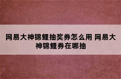 网易大神锦鲤抽奖券怎么用 网易大神锦鲤券在哪抽